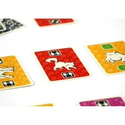 999 Games The Brain^ Kaartspellen