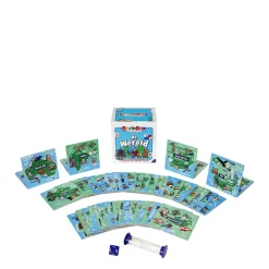 Bezzerwizzer Brainbox De Wereld^ Kaartspellen