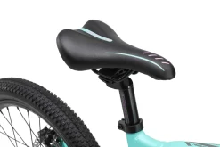 BikeStar Mtb Kinderfiets 20 Inch Mint^ Kinderfietsen