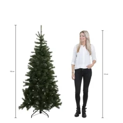 Black Box Trees Kerstboom Toronto (H185 X O114 Cm) Best