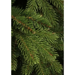 Black Box Trees Kerstboom Brampton (H120Xo91 Cm)