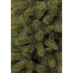 Black Box Trees Kerstboom Toronto (H230Xo140 Cm) Sale