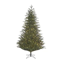 Black Box Trees Verlichte Kerstboom Frasier (H185 X O124 Cm) Discount