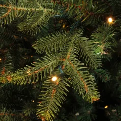 Black Box Trees Verlichte Kerstboom Frasier (H185 X O124 Cm) Discount