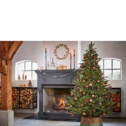 Black Box Trees Verlichte Kerstboom Frasier (H185 X O124 Cm) Discount