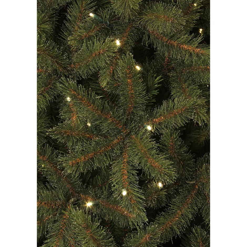 Black Box Trees Verlichte Kerstboom Toronto (H230Xo140 Cm) New