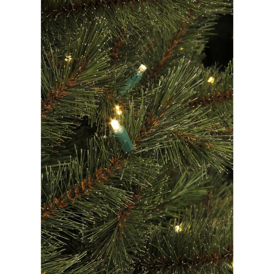 Black Box Trees Verlichte Kerstboom Toronto (H230Xo140 Cm) New