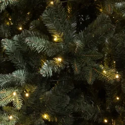 Black Box Trees Verlichte Kerstboom Elkins (H185 X O104 Cm) Sale