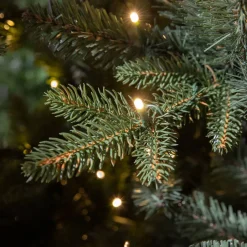 Black Box Trees Verlichte Kerstboom Elkins (H230 X O132 Cm) Sale