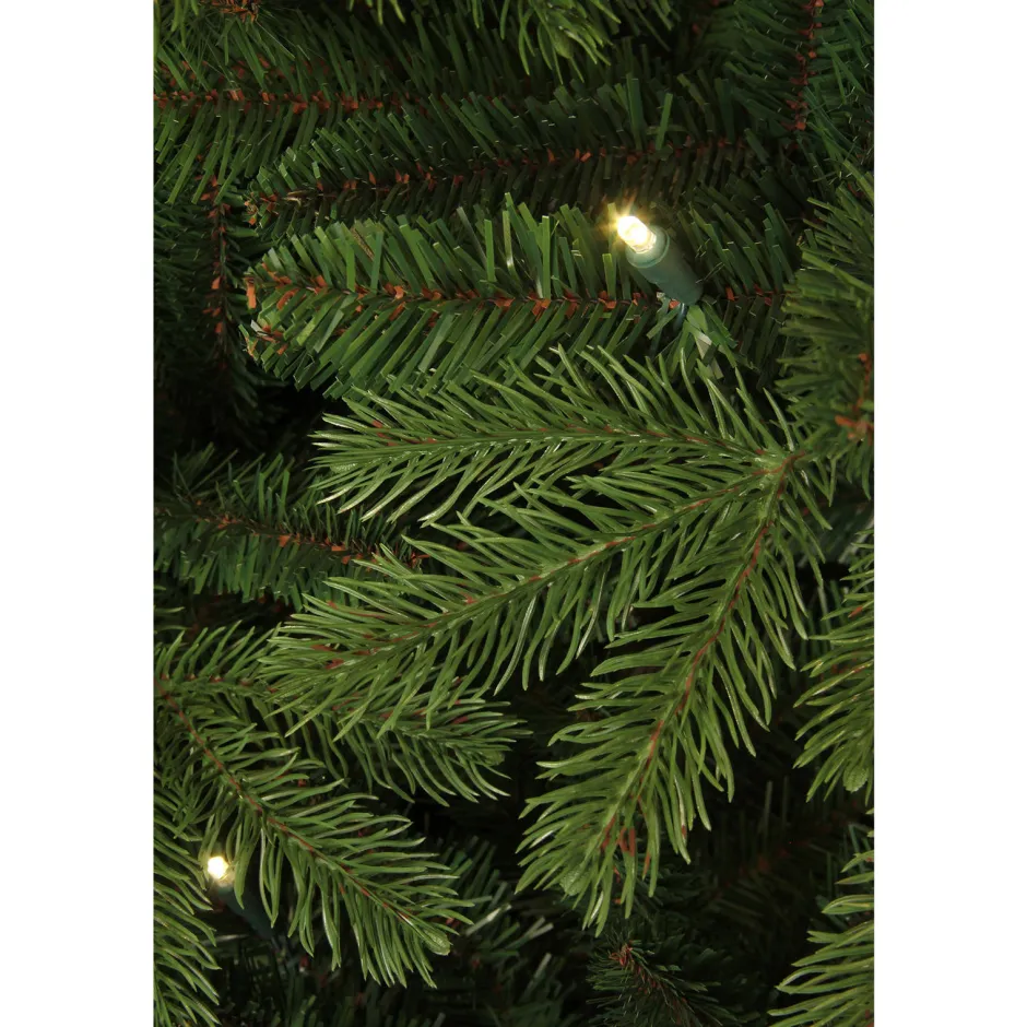 Black Box Trees Verlichte Kerstboom Brampton (H215Xo142 Cm) Discount