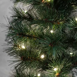 Black Box Trees Verlichte Kerstboom Sotka (H215 X O71 Cm) Discount