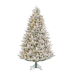 Black Box Trees Verlichte Kerstboom Frasier (H215 X O145Cm) Sale