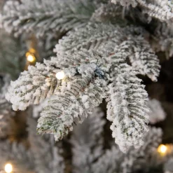 Black Box Trees Verlichte Kerstboom Frasier (H215 X O145Cm) Sale