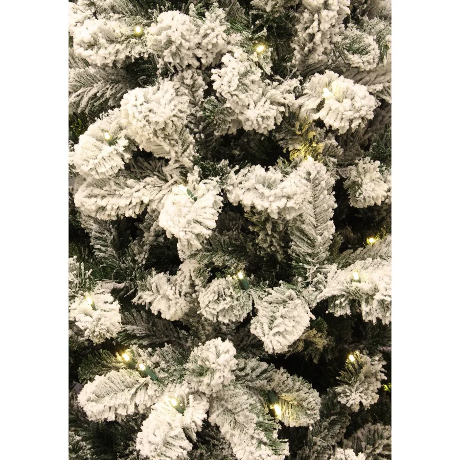 Black Box Trees Verlichte Kerstboom Millington (H185 X O109 Cm) Discount
