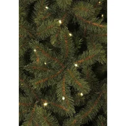 Black Box Trees Verlichte Kerstboom Toronto (H155Xo102 Cm) Online