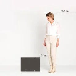 Brabantia Bo Pedaalemmer (3X11L) Online