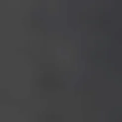 Brabantia Bo Prullenbak (2X30L) (Afvalscheiding) Discount