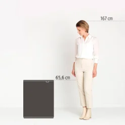 Brabantia Bo Touch Bin Prullenbak (2X30L) (Afvalscheiding) Clearance