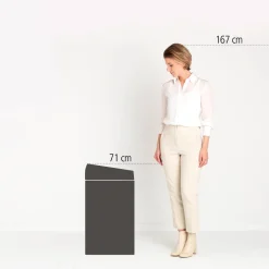 Brabantia Touch Bin Prullenbak (60L) Hot