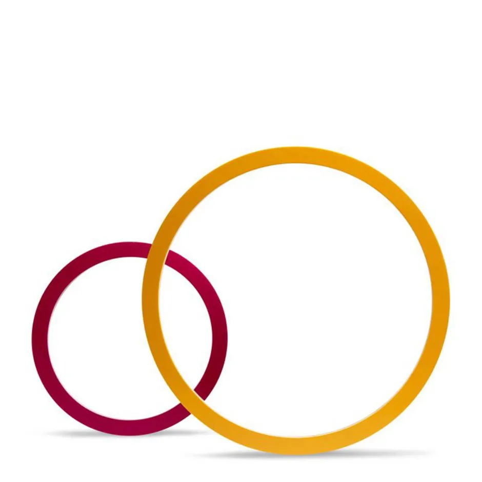 BS Toys 5 Hoepelspellen^ Houten Speelgoed