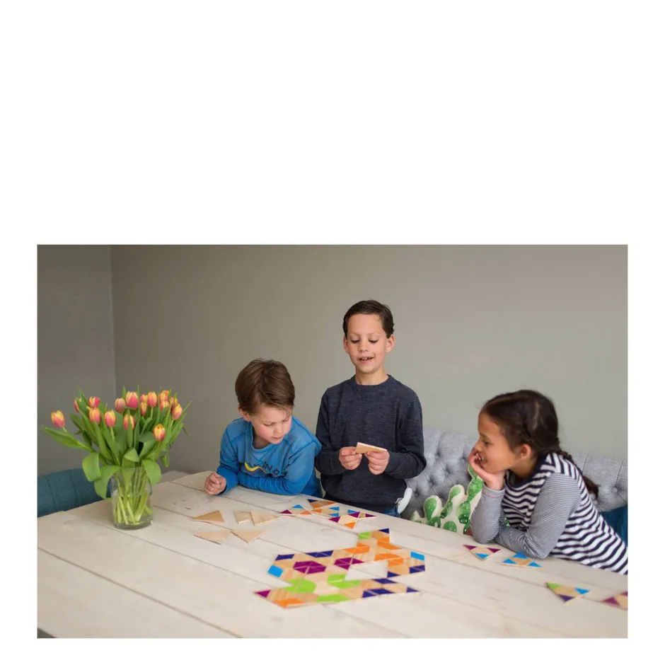 BS Toys Triangle Dominoes^ Houten Speelgoed