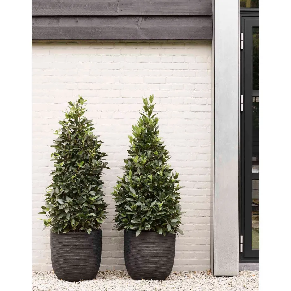 Capi Bloempot Nature Row (O43X41 Cm)^ Bloempotten