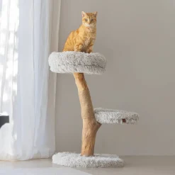 Designed by Lotte Houten Krabmeubel Zora -50X72-Grijs Discount