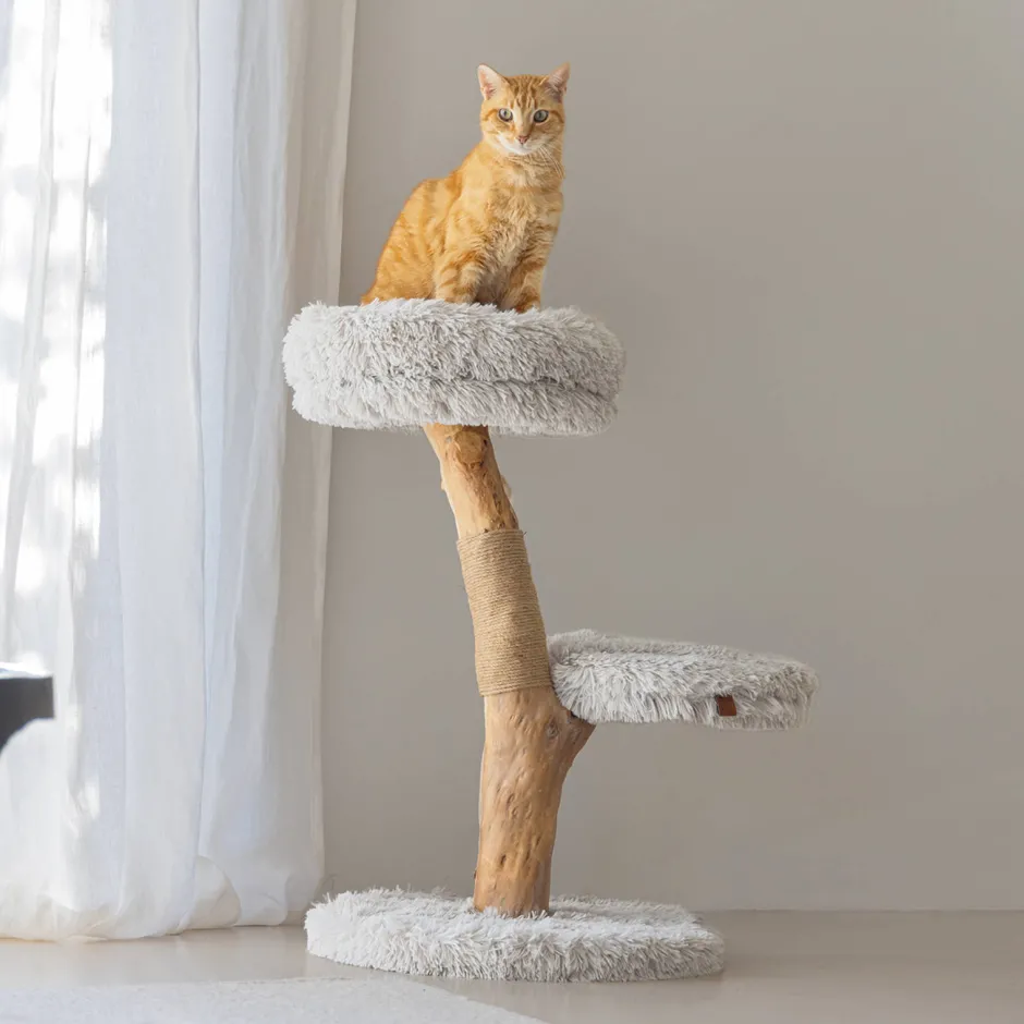 Designed by Lotte Houten Krabmeubel Zora -50X72-Grijs Discount