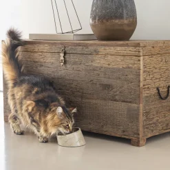 Designed by Lotte Kattenvoerbak Vita 160 Ml Beige Sale