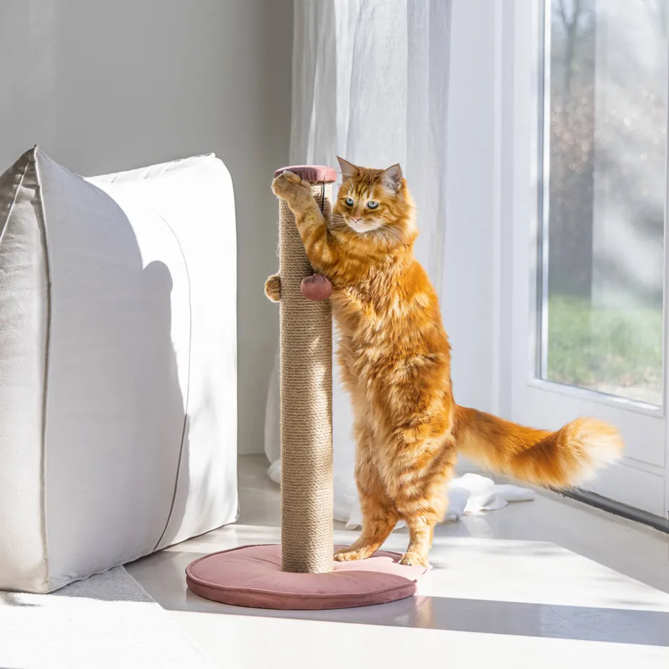 Designed by Lotte Krabpaal Yenna -41X70- Roze Outlet