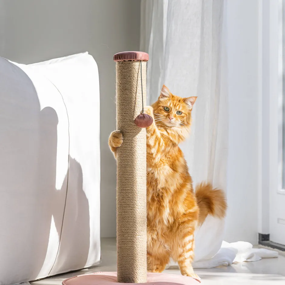 Designed by Lotte Krabpaal Yenna -41X70- Roze Outlet