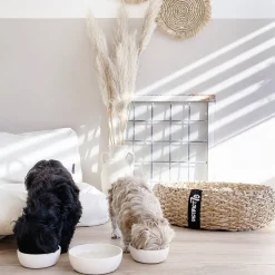 District 70 Bamboo Hond Voerbak - M - Merengue Discount