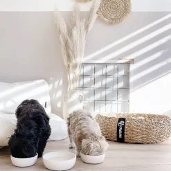 District 70 Bamboo Voerbak Hond/Kat - S - Merengue Clearance