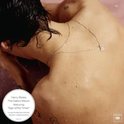 wehkamp Harry Styles - Harry Styles (Lp)^ Muziek