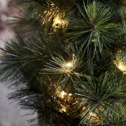 House Doctor Kerstboom Pinus Outlet