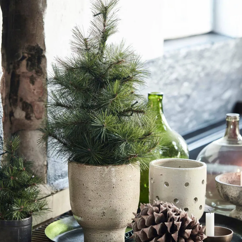 House Doctor Kerstboom Pinus Outlet