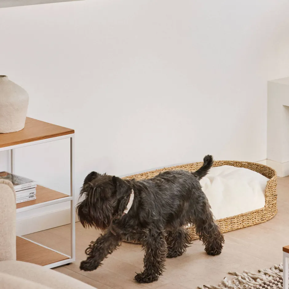 Kave Home Hondenkussen Codie O 80 X 50 Cm Outlet