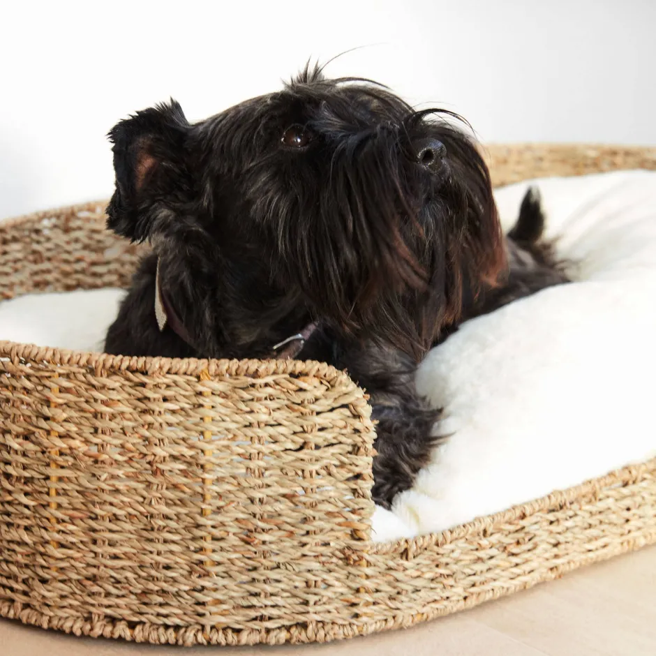 Kave Home Hondenkussen Codie O 80 X 50 Cm Outlet