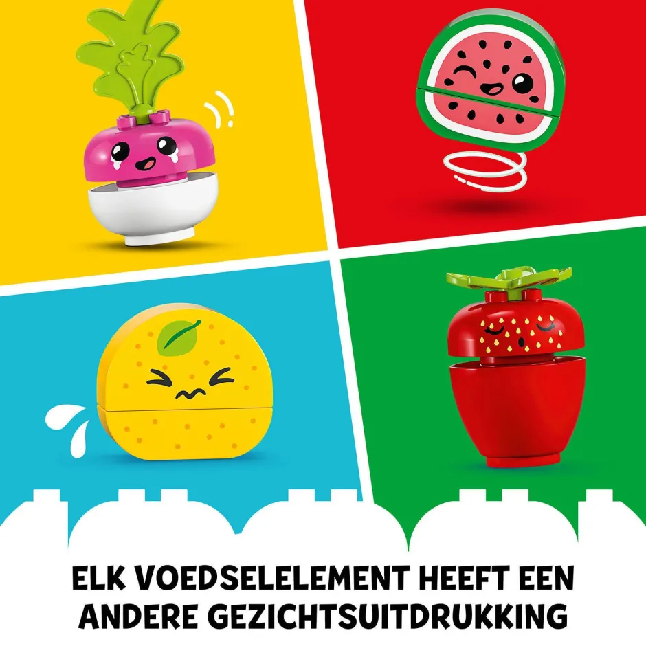 LEGO Duplo Biomarkt 10983^ Peuterspeelgoed