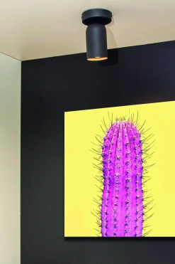 Lucide Wandspot Punch Best