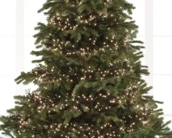 Lumineo Verlichtingssnoer Kerst Cluster (768 Led) Sale