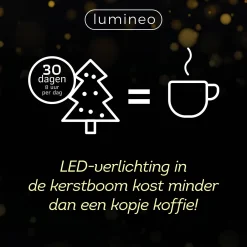 Lumineo Verlichtingssnoer Kerst Cluster (1128 Led) Online