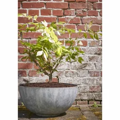 Mica Decorations Bloempot Bravo (O55 Cm)^ Bloempotten