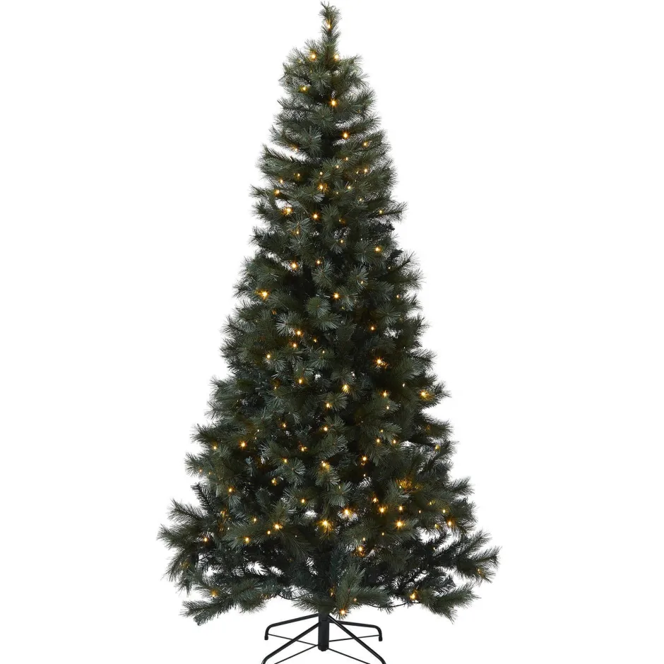 Nova Belle Verlichte Kerstboom Scotch Pine (H230 X O125 Cm) Sale