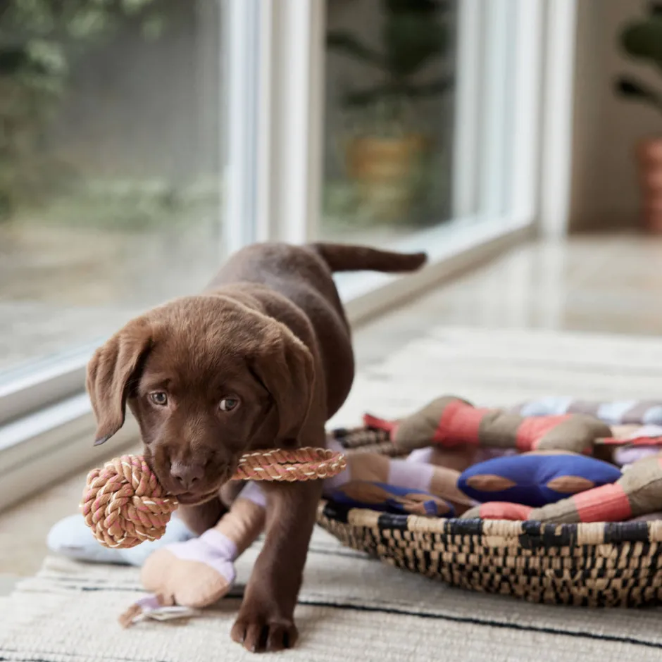 OYOY ZOO Hondenspeeltje Otto (22 Cm) Best