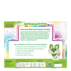 Pokemon ^ Kaartspellen