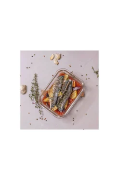 Sareva Ovenschaal Cook & Fresh Online