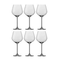 Schott Zwiesel Bourgogneglas Fortissimo - Set Van 6