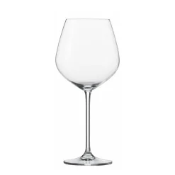 Schott Zwiesel Bourgogneglas Fortissimo - Set Van 6