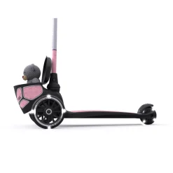 Scoot & Ride ^ Stepjes